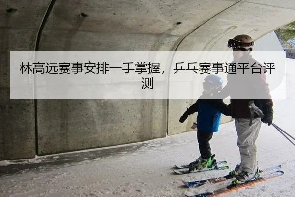 林高远赛事安排一手掌握，乒乓赛事通平台评测